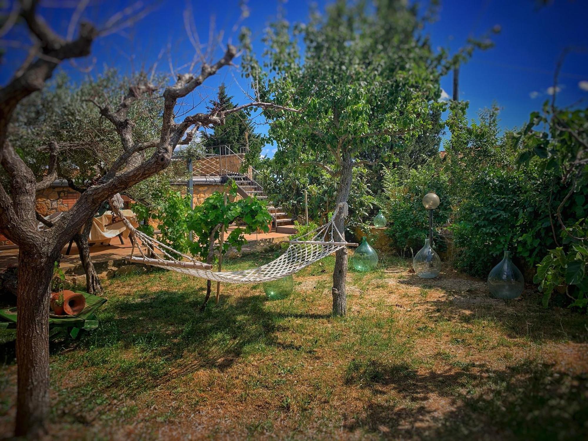 Agriturismo Il Casato - Il Torchio Пиенца Екстериор снимка